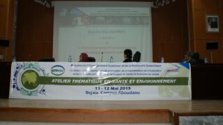 Journees sur l atelier thematique en sante environnement 11 12 mai 2015 018
