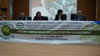 Journees sur l atelier thematique en sante environnement 11 12 mai 2015 034