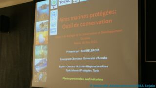 Le premier cycle de conferences pedagogiques 05 mai 2015 015