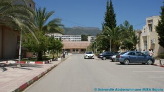 Projet de realisation d une mini pelleteuse 29 juin 2015 084