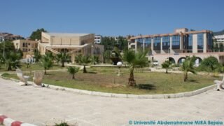 Projet de realisation d une mini pelleteuse 29 juin 2015 086