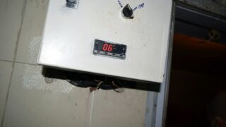 Sortie commission Covid Campus Aboudaou Residence ELKSEUR 18 Janvier 2021 Universite Bejaia 169 1