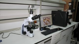 Visite du ministre de lenseignement superieur et de la recherche scientifique pr Abdelbaki BENZIANE a luniversite Abderrahman M 133