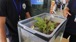 2 eme edition de l universite d ete des clubs scientifiques 18 28 juillet 2016 picture 0109