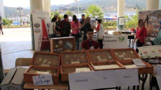 2 eme edition de l universite d ete des clubs scientifiques 18 28 juillet 2016 picture 0113