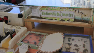 2 eme edition de l universite d ete des clubs scientifiques 18 28 juillet 2016 picture 0134