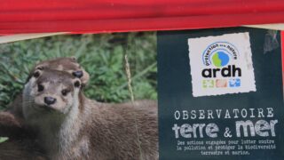 2 eme edition de l universite d ete des clubs scientifiques 18 28 juillet 2016 picture 0146