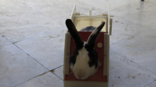 2 eme edition de l universite d ete des clubs scientifiques 18 28 juillet 2016 picture 0168