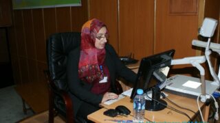 colloque national sur plurilinguismes 11 12 novembre 2015 53 1