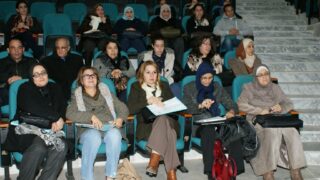 journee de sensibilisation pour la lutte contre la violence a legard des femme 26 11 2015 08