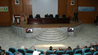 journee de sensibilisation pour la lutte contre la violence a legard des femme 26 11 2015 29