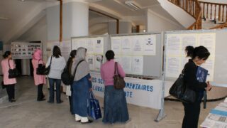 journee mondiale de la sante 1000 villes 1000 vies 28 avril 2010 05