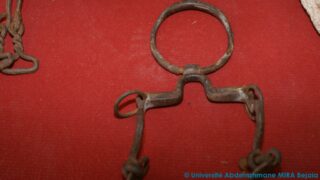 Association ACT organise la semaine culturelle VINTAGE le passé a de l'avenir! 95 Association ACT organise Semaine culturelle VINTAGE 19 novembre 041