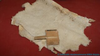 Association ACT organise la semaine culturelle VINTAGE le passé a de l'avenir! 59 Association ACT organise Semaine culturelle VINTAGE 19 novembre 077