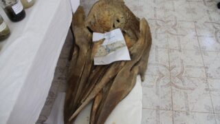 Ouverture de la bibliotheque Open Access Library 09 mai2017 036