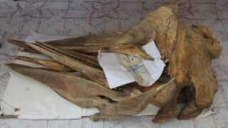 Ouverture de la bibliotheque Open Access Library 09 mai2017 037