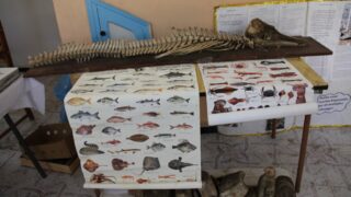 Ouverture de la bibliotheque Open Access Library 09 mai2017 039