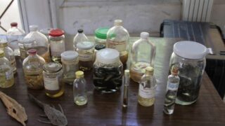 Ouverture de la bibliotheque Open Access Library 09 mai2017 045