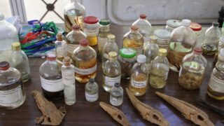 Ouverture de la bibliotheque Open Access Library 09 mai2017 046