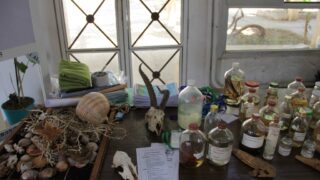 Ouverture de la bibliotheque Open Access Library 09 mai2017 047