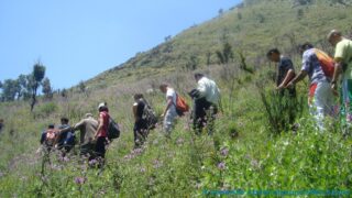 journee d etude en geologie juin 2013 picture 0016