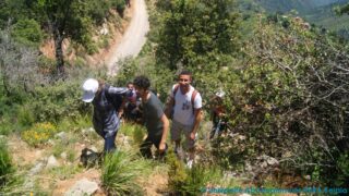 journee d etude en geologie juin 2013 picture 0017