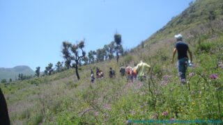 journee d etude en geologie juin 2013 picture 0018