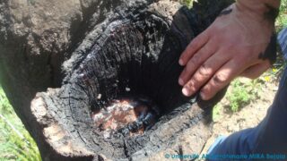 journee d etude en geologie juin 2013 picture 0020