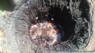 journee d etude en geologie juin 2013 picture 0021