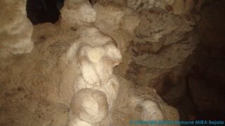 journee d etude en geologie juin 2013 picture 0024