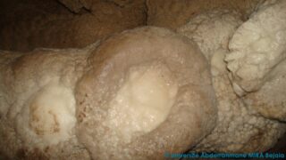 journee d etude en geologie juin 2013 picture 0025