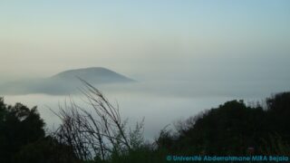 journee d etude en geologie juin 2013 picture 0026