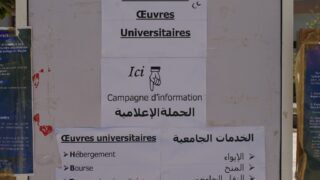 les inscriptions des nouveaux bacheliers 2016 100