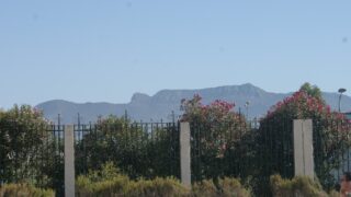 les inscriptions des nouveaux bacheliers 2016 209