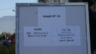 les inscriptions des nouveaux bacheliers 2016 233