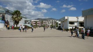 les inscriptions des nouveaux bacheliers 2016 344