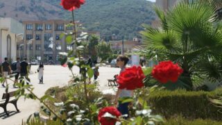 les inscriptions des nouveaux bacheliers 2016 79