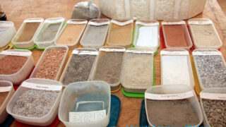 Forum des clubs scientifiques et associations de luniversite Abderrahmane MIRA Bejaia du 13 au 16 06 2021 136 1