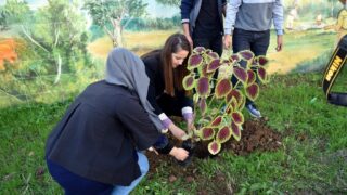 67 eme Anniversaire du declenchement de la Revolution Nationale 02 Nov 2021 235