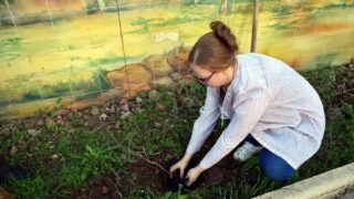 67 eme Anniversaire du declenchement de la Revolution Nationale 02 Nov 2021 241