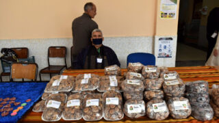 TUMAST Festival Figues Seches 15 Nov 2021 suite 17