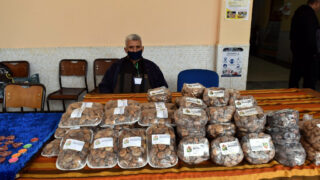 TUMAST Festival Figues Seches 15 Nov 2021 suite 18