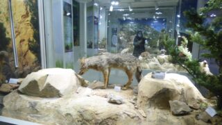 Visite pedagogique des etudiants histoire departement archeologie 04 janvier 2022 picture 03