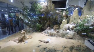 Visite pedagogique des etudiants histoire departement archeologie 04 janvier 2022 picture 04