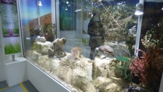 Visite pedagogique des etudiants histoire departement archeologie 04 janvier 2022 picture 05