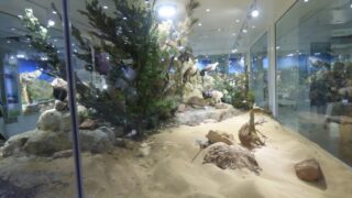 Visite pedagogique des etudiants histoire departement archeologie 04 janvier 2022 picture 06