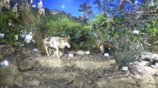 Visite pedagogique des etudiants histoire departement archeologie 04 janvier 2022 picture 09
