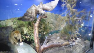 Visite pedagogique des etudiants histoire departement archeologie 04 janvier 2022 picture 10