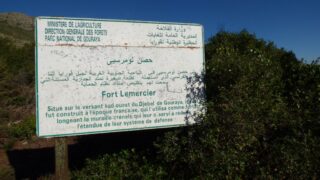 Visite pedagogique des etudiants histoire departement archeologie 04 janvier 2022 picture 103