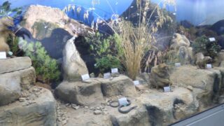 Visite pedagogique des etudiants histoire departement archeologie 04 janvier 2022 picture 11